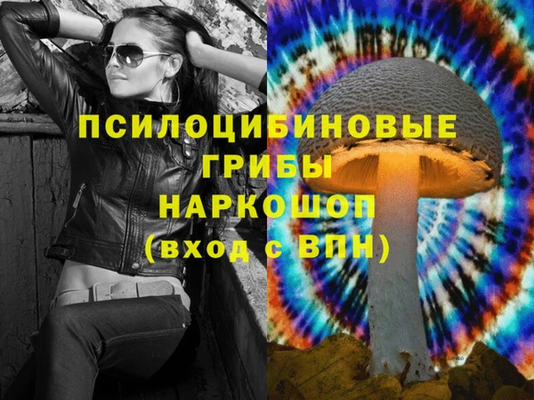 круглые Алзамай