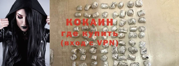 индика Кодинск