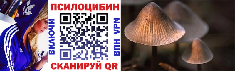 наркота  Елец  Галлюциногенные грибы прущие грибы 